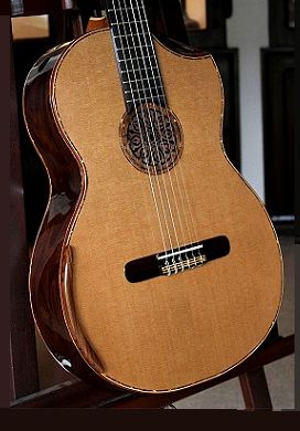 Brazilian Rosewood B&S, Cedar top