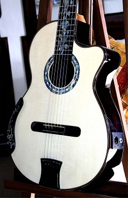 Blackwood concert guitar
