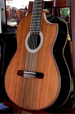 African Blackwood Custom concert guitar