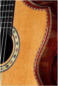 Cocobolo B&S, Hauser braced Cedar top Concert guitar