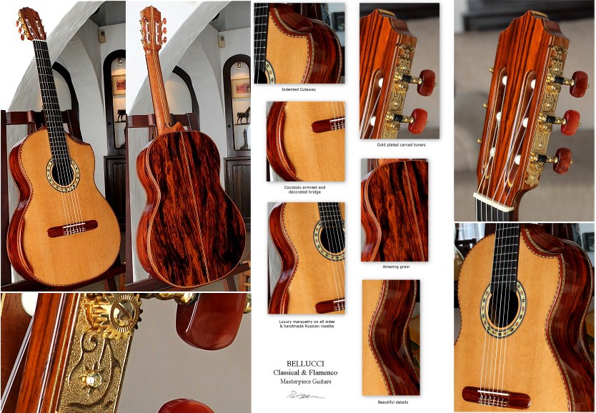 Cocobolo B&S, Hauser braced Cedar top Concert guitar