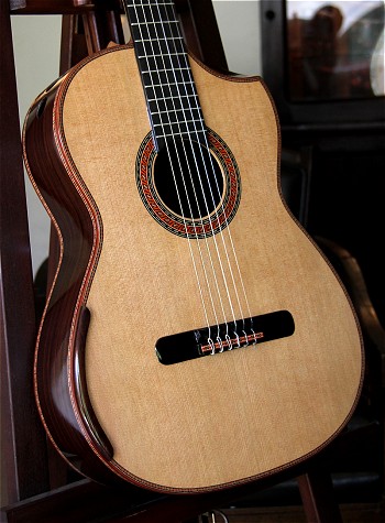 120 year air dried Brazilian Rosewood B&S,
                    Bellucci/Hauser braced Cedar top Concert guitar