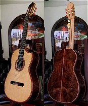 120 year air dried Brazilian Rosewood
                            B&S, Bellucci/Hauser braced Cedar top
                            Concert Guitar
