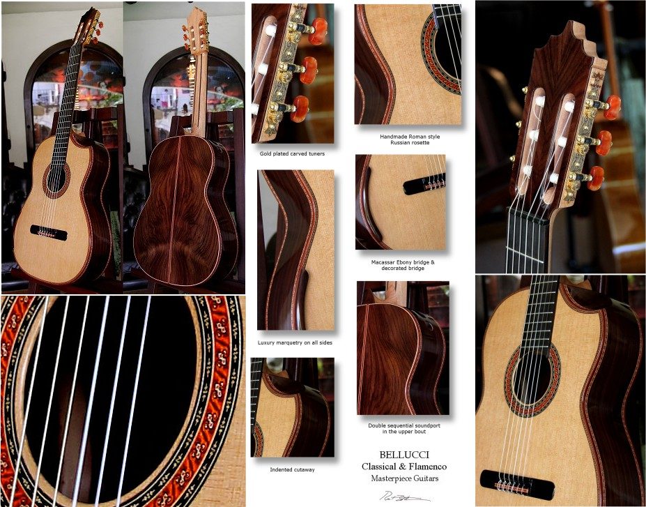 120 year air dried Brazilian Rosewood B&S,
                Bellucci/Hauser braced Cedar top Concert guitar