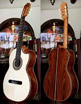 120 year air dried Brazilian Rosewood
                          B&S, Hauser braced Alpine Spruce top
                          Concert guitar