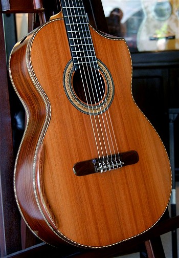 120 year air dried Brazilian Rosewood B&S,
                    Hauser braced Sinker Redwood top Concert guitar