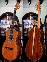 120 year air dried Brazilian Rosewood
                            B&S, Hauser braced Sinker Redwood top
                            Concert guitar