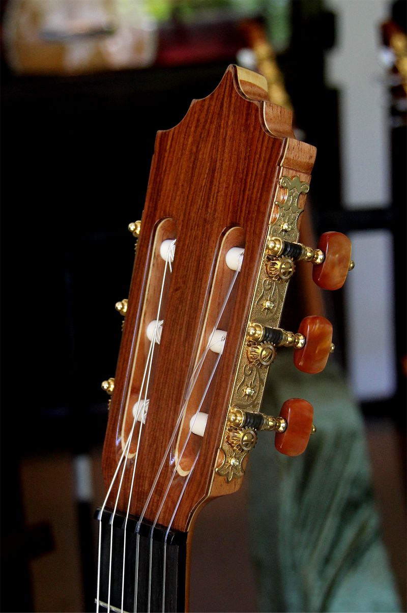 120 year air dried Brazilian Rosewood B&S, Hauser braced Sinker Redwood top  Concert guitar