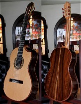 120 year air dried Brazilian Rosewood B&S, Hauser braced Cedar top Concert guitar