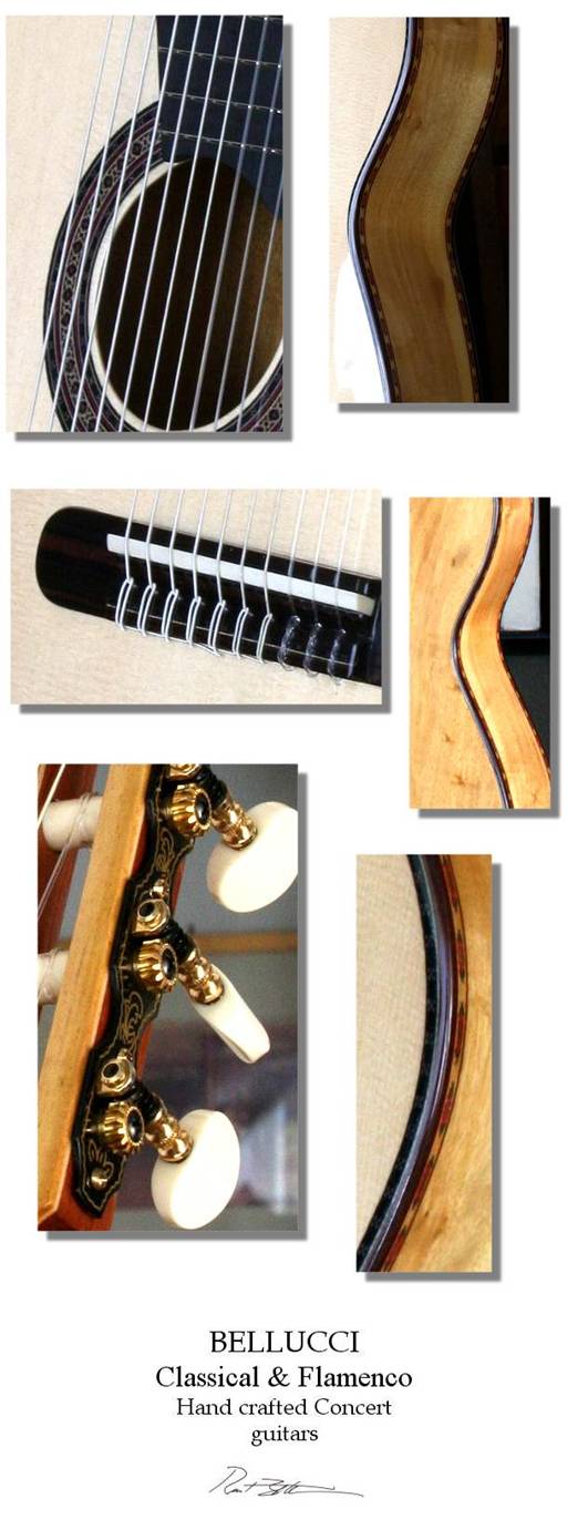 Custom 10 strings Flamenco MASTERPIECE !!!