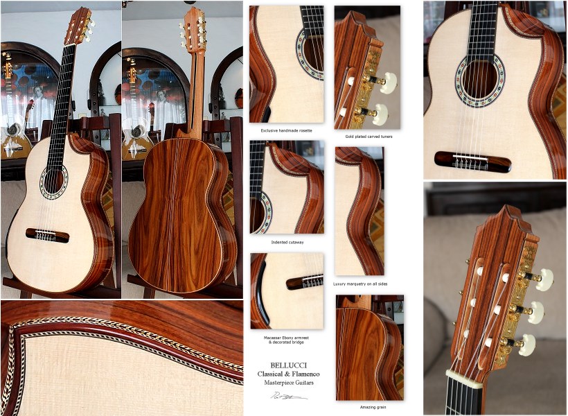 Brazilian Rosewood B&S, Hauser braced Alpine spruce top Concert guitar