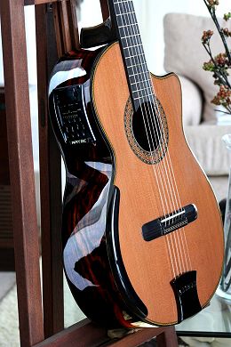 Macassar Ebony Custom guitar