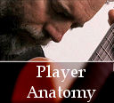 Guitar player's anatomy