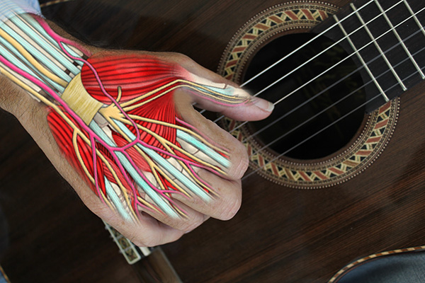 The Player's hand