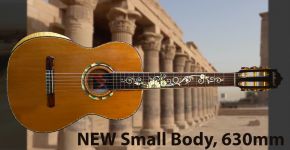 NEW Small Body 630mm FREE SHIPPING!!