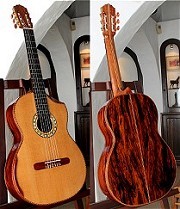 Cocobolo B&S, Hauser braced Cedar top Concert guitar