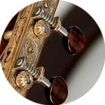 Waverly Tuners with Snakewood Buttons