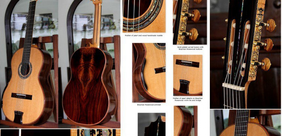 Indonesian Rosewood B&S, Cedar Top Aries Guitar
