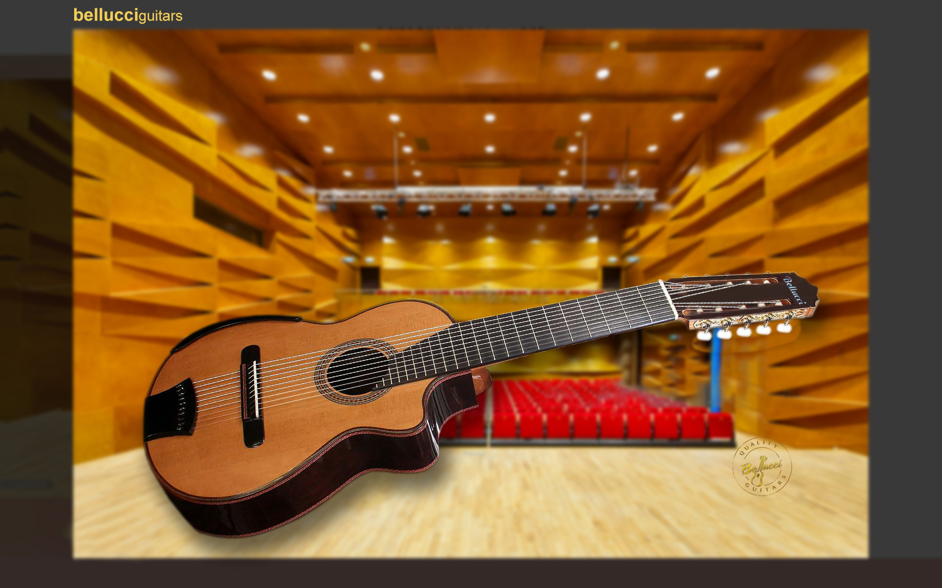 10-Strings Cedar Top Concert Classical Guitar