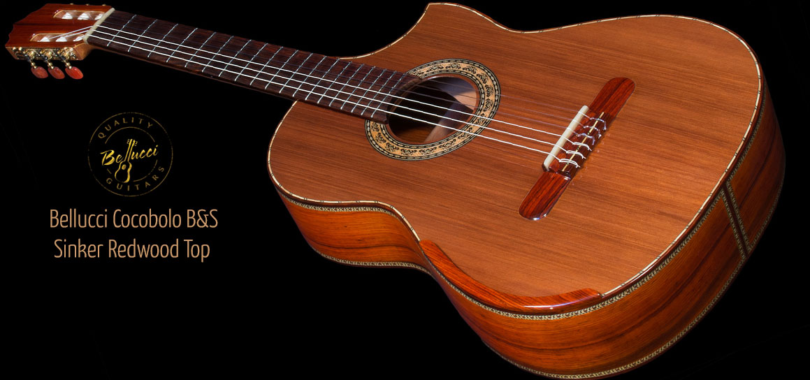 Cocobolo B&S, Sinker Redwood Top Concert Classical Guitar