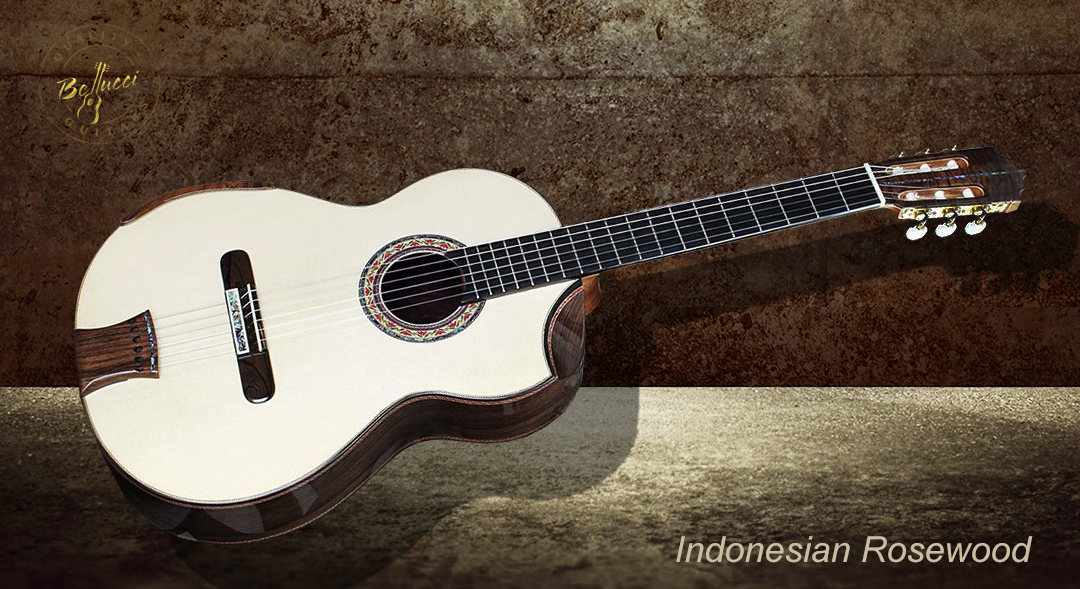 Indonesian Rosewood B&S Italian Spruce top  Concert Classical Guitar