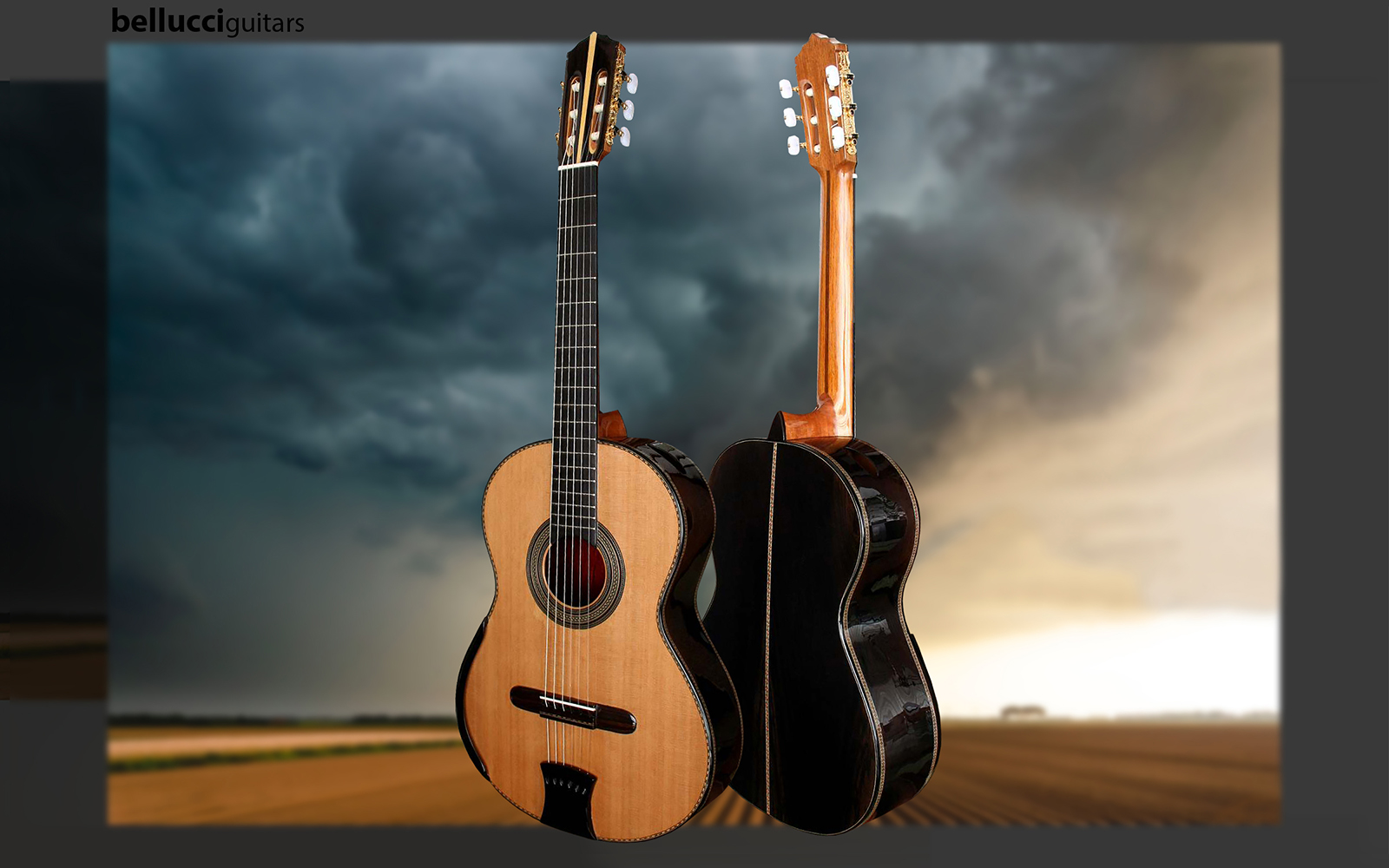 resize_bellucci-guitar-agrican-blackwood-cedartop-2020-all-new.jpg