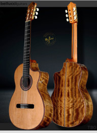 Amazing Bellucci Guitars