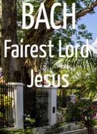 Bach Fairest Lord Jesus