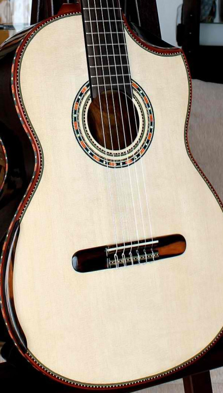Brazilian Rosewood German Spruce Top Masterpiece Concert Classical Guitar
