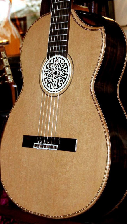 Brazilian Rosewood B&S, Cedar Top Da Vinci   Concert Classical Guitar