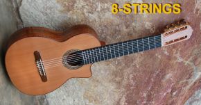 New 8-Strings Custom Guitar