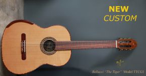 NEW Custom Pau Ferro Guitar