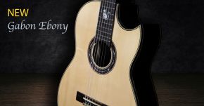 NEW Custom Gabon Ebony Guitar