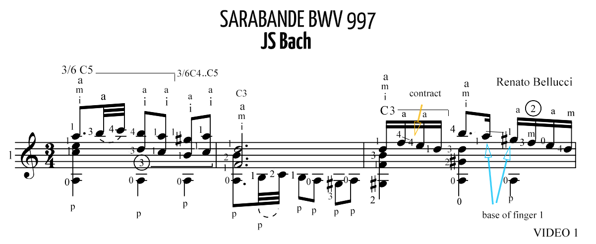 Bach Saraband BWV 997 Staff and Video 1
